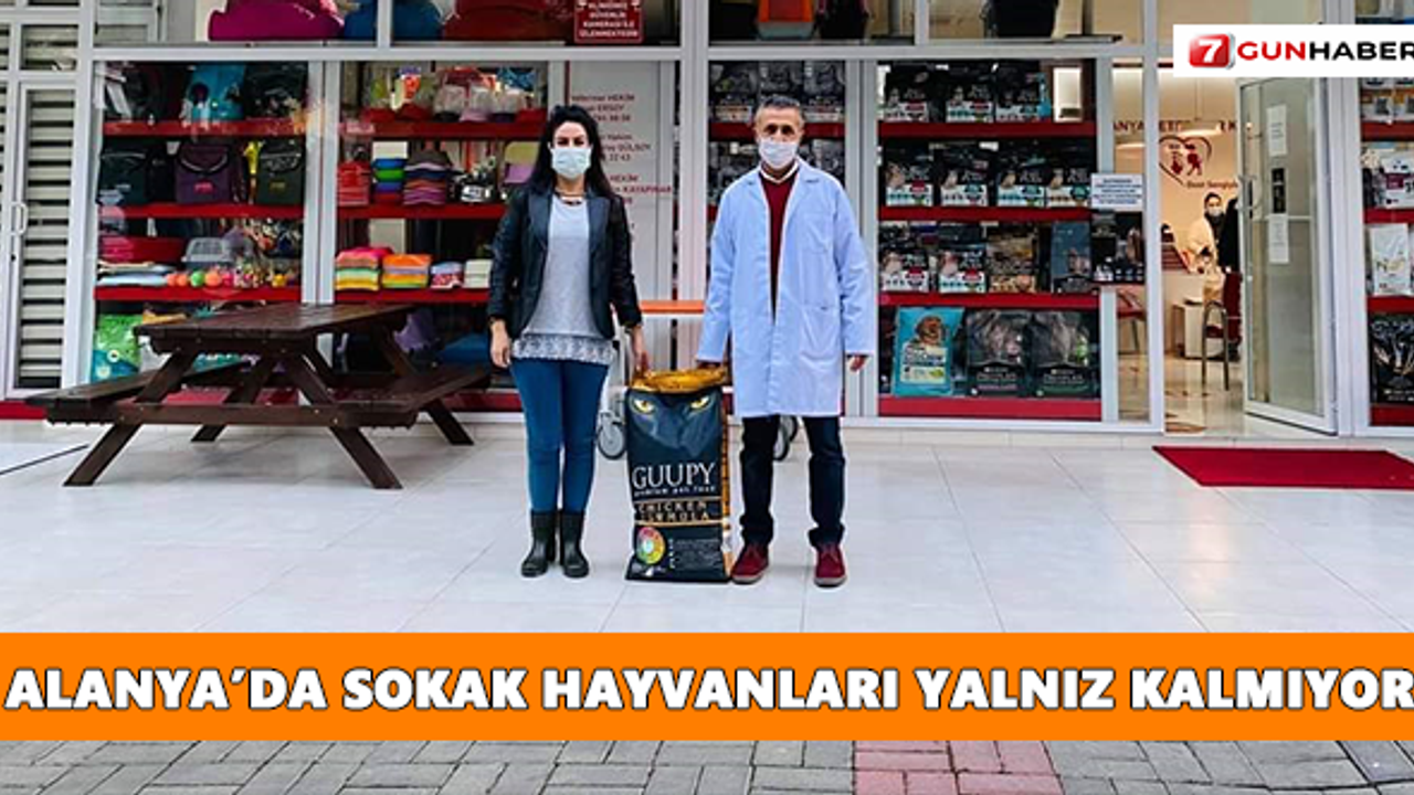 Alanya’da sokak hayvanları yalnız kalmıyor