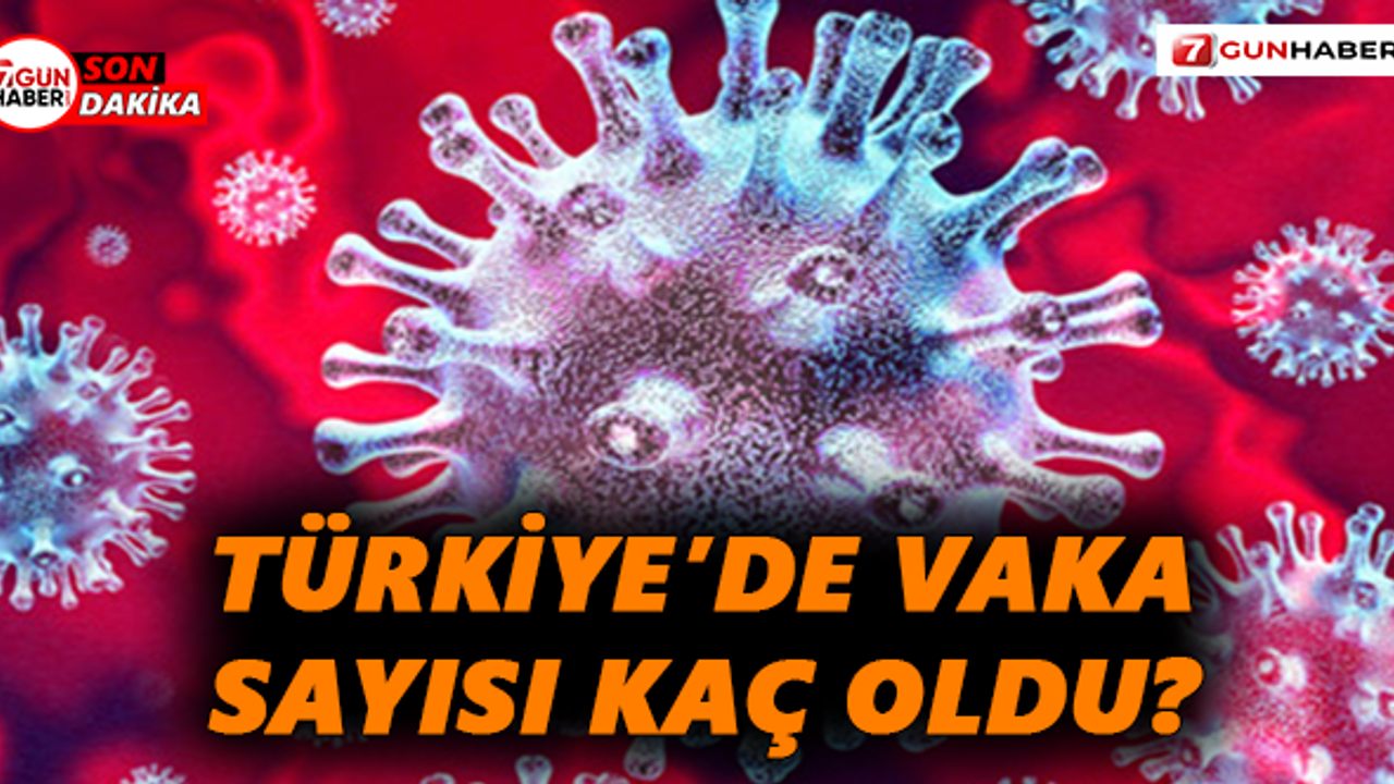 2 Haziran Koronavirüs tablosu açıklandı