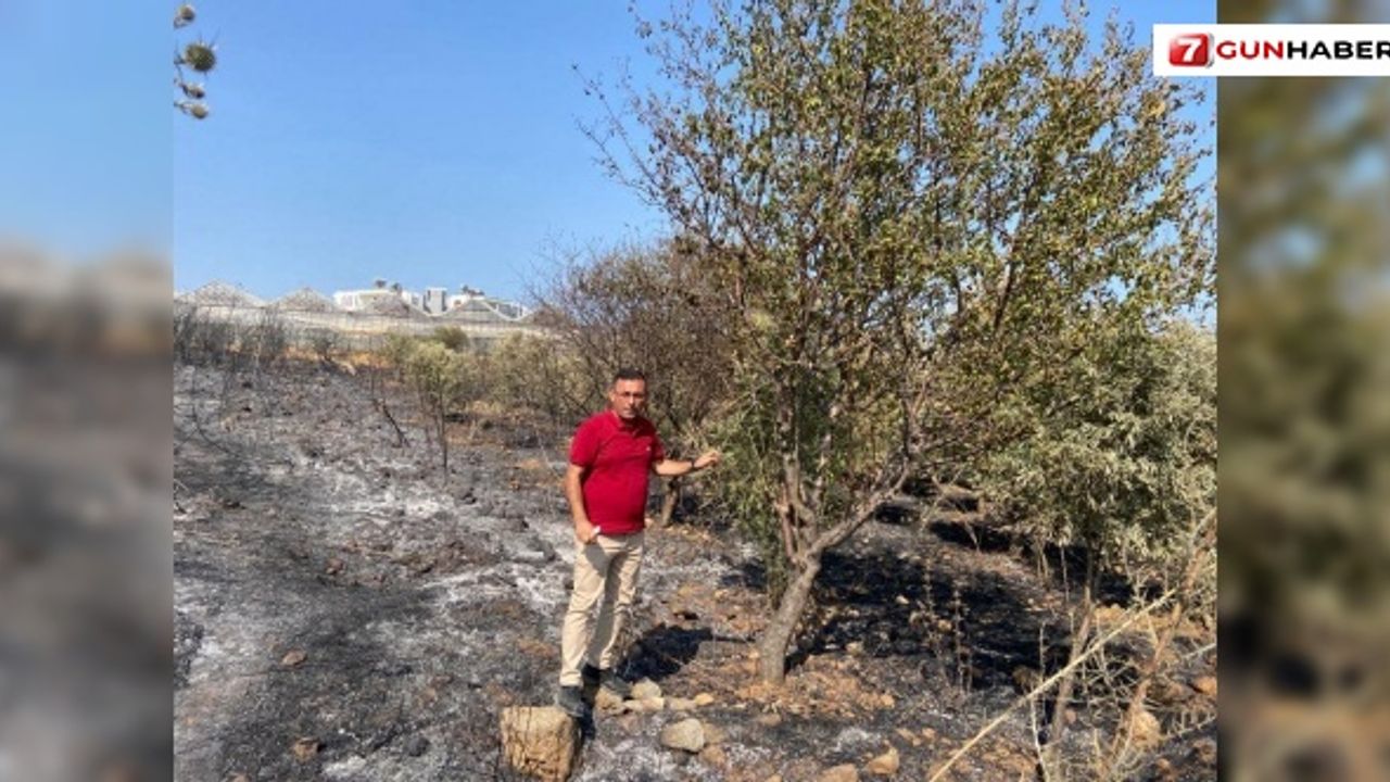Alanya’da 10 dönümlük tarımsal alanda yangın!