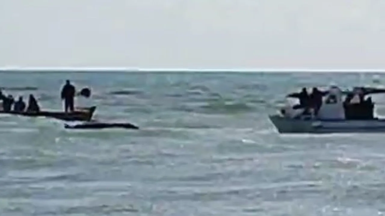 Denizin Ortasında Ölümden Döndüler! İki Kişiyi Balıkçılar Kurtardı