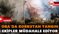Oba Karakocalı'da korkutan yangın! Ekipler müdahale ediyor