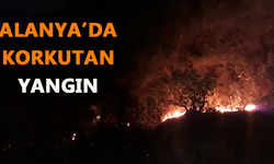 Alanya'da korkutan yangın