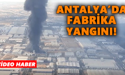 Antalya’da fabrika yangını!
