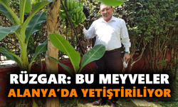 “Bu meyveler Alanya’da yetiştiriliyor”