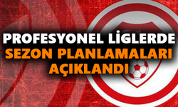 Profesyonel liglerde sezon planlamaları açıklandı