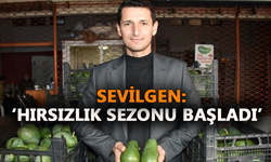 Sevilgen: 'Hırsızlık sezonu başladı'