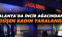 Alanya’da incir ağacından düşen kadın yaralandı