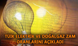 TÜİK Elektrik ve Doğalgaz Zam Oranlarını Açıkladı