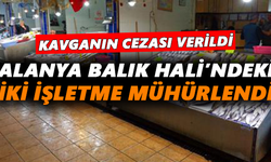 Alanya Balık Hali’ndeki iki işletme mühürlendi