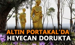 Altın Portakal'da heyecan dorukta