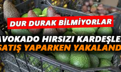 Avokado hırsızı kardeşler satış yaparken yakalandı