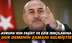 Avrupa'nın faşist ve ezik ırkçılarına dur demenin zamanı gelmiştir