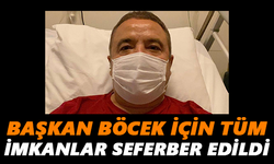 Böcek için tüm imkanlar seferber edildi