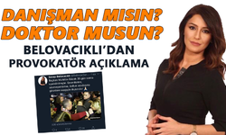 Danışman mısın? Doktor musun?