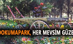 Kepez’e bahar gelmiş