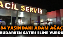 84 yaşındaki adam ağaç budarken satırı eline vurdu
