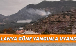 Alanya güne yangınla uyandı