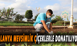 Alanya mevsimlik çiçeklerle donaltılıyor