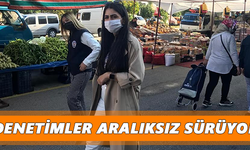 Denetimler aralıksız sürüyor