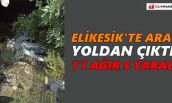 Elikesik'te araç yoldan çıktı: 1'i ağır 5 yaralı