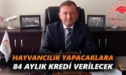 Hayvancılık yapacaklara 84 aylık kredi verilecek