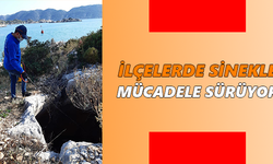 İlçelerde sinekle mücadele sürüyor