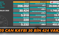 220 can kaybı 30 bin 424 yeni vaka var