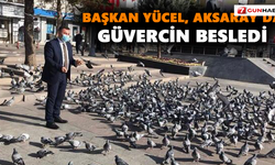 Başkan Yücel, Aksaray’da güvercin besledi