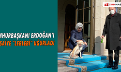 Cumhurbaşkanı Erdoğan'ı mesaiye "Leblebi" uğurladı