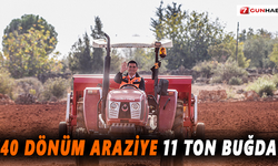 540 dönüm araziye 11 ton buğday