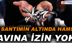 9 santimin altında hamsi avına izin yok