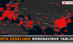 Dünya genelinde koronavirüs tablosu