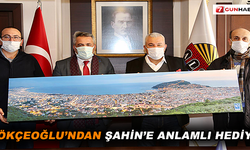 Gökçeoğlu'ndan Şahin'e anlamlı hediye