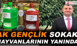 AK Gençlik sokak hayvanlarının yanında