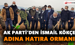 AK Parti’den İsmail Kökçe adına hatıra ormanı