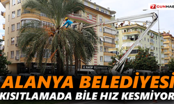 Alanya Belediyesi, kısıtlamada bile hız kesmiyor