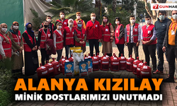 Alanya Kızılay, minik dostlarımızı unutmadı