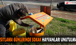 Kısıtlama günlerinde sokak hayvanları unutulmadı