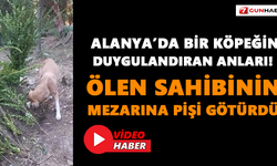 Ölen sahibinin mezarına pişi götürdü