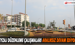 Peyzaj düzenleme çalışmaları aralıksız devam ediyor