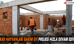 Sokak hayvanları bakım evi projesi hızla devam ediyor.