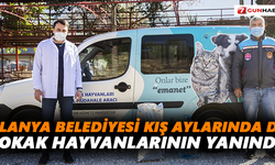 Alanya Belediyesi kış aylarında da sokak hayvanlarının yanında