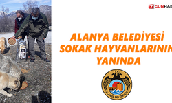 Alanya Belediyesi sokak hayvanlarının yanında