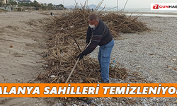 Alanya sahilleri temizleniyor