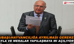 Hayvancılığa ayrılması gereken Yayla ve meralar yapılaşmaya mı açılıyor?