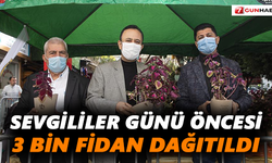 Sevgililer Günü öncesi 3 bin fidan dağıtıldı
