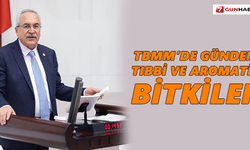TBMM’de gündem tıbbi ve aromatik bitkiler