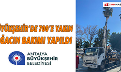Büyükşehir’de 700’e yakın ağacın bakımı yapıldı