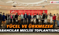 Yücel ve Ürkmezer, Yabancılar Meclisi toplantısında