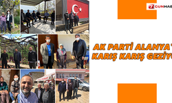 AK Parti Alanya'yı karış karış geziyor